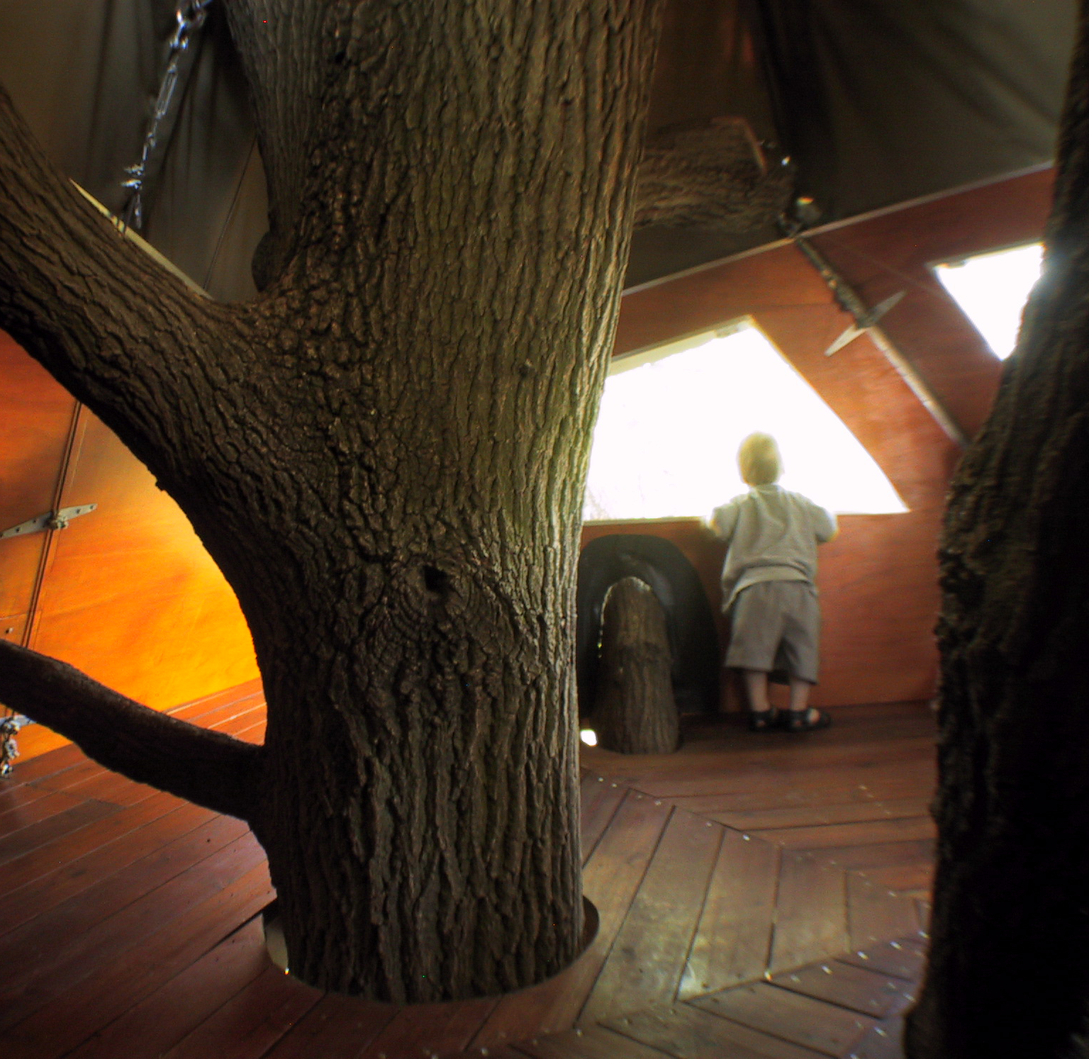 Treehouses